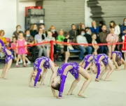 школа гимнастики, балета и современного искусства little queen на проспекте ленина изображение 1 на проекте lovefit.ru
