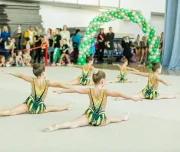 школа гимнастики, балета и современного искусства little queen на иркутском тракте изображение 1 на проекте lovefit.ru