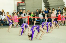 Школа гимнастики, балета и современного искусства Little Queen на Иркутском тракте